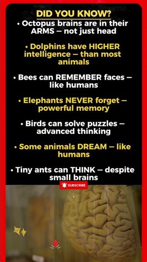 Animal Brain Facts That Sound Impossible But Are TRUE 🧠🐾🔥
