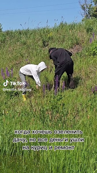 #дача #деревня #куры #колхозники