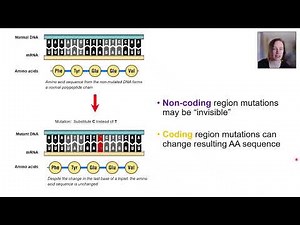 Mutations (Part 2)