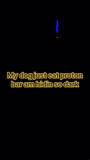 My dog just eat protein bar so dark in here. II turn off the light is screaming. I don’t know #meme