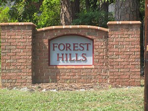 Take the Forest Hills Home and Garden Tour Sunday