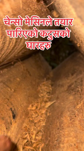 Gesa Bee Farm on Reels