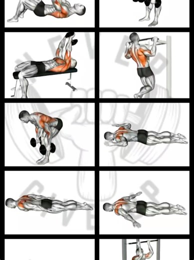 BACK WORKOUT AT HOME #backworkout #workout #homeworkout #fitness #sports @HOMEWORKOUT @HOMEWORKOUT @HOMEWORKOUT