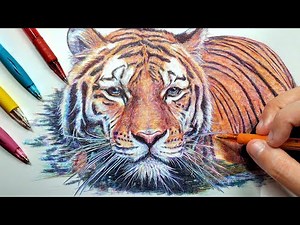 Drawing a Realistic Tiger with Ballpoint Pen!