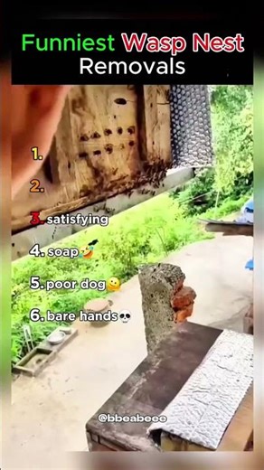 Ranking Brutal Wasp Nest Removal Attempts 🤣 #funny #fails