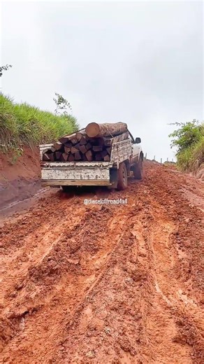 Diesel Off Road 4x4 | Toyota Hilux 4x4 Off-Road #offroad #4x4 #4wd #foryou #toyota #dieselpower #toyotapower #pickup #diesel #hilux #hilux4x4 #hilux_4x4 #offroad4х4 | Instagram