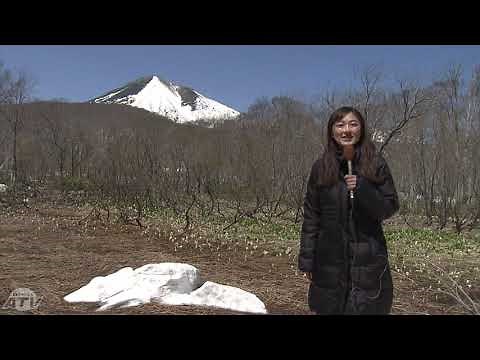 春の八甲田山系