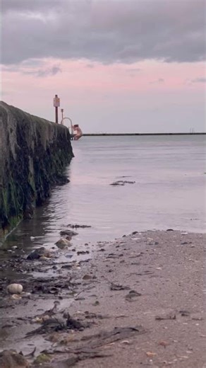 Swimming in Storm Amy #stormamy #dipaday #coldwaterswimming
