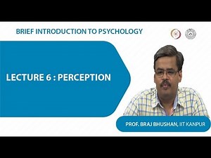 Lecture 6 : Perception