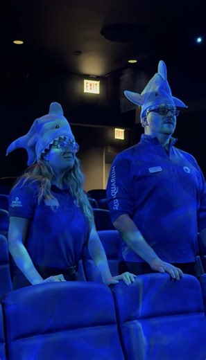 Get your Letterboxd entries ready...our newly reimagined 4D Theater is ready to be explored! 🎥 With bubbles, mists, scents and more surprises waiting to be discovered, there's no better way to experience the aquatic world on the big screen. 🎟️ Add a 4D Experience to your ticket reservation or stop by the ticketing kiosks or 4D Theater during your next visit. #SheddAquarium #4D
