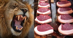 ¿Qué venden en el Mercado de San Juan? Carne de león, cebra y más