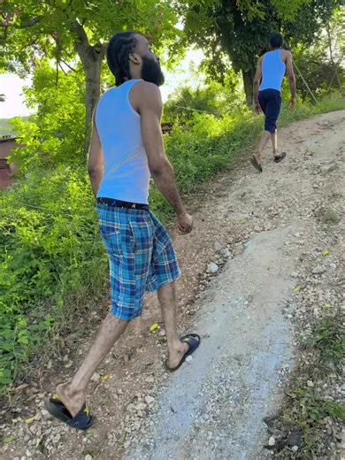 Exploring Rustic Pathways in a Lush Rural Setting