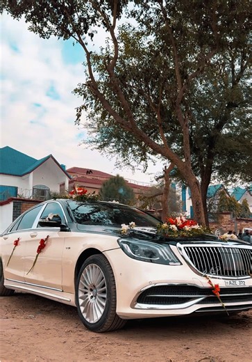 Top Event Planning Tips from Hashmi Studio