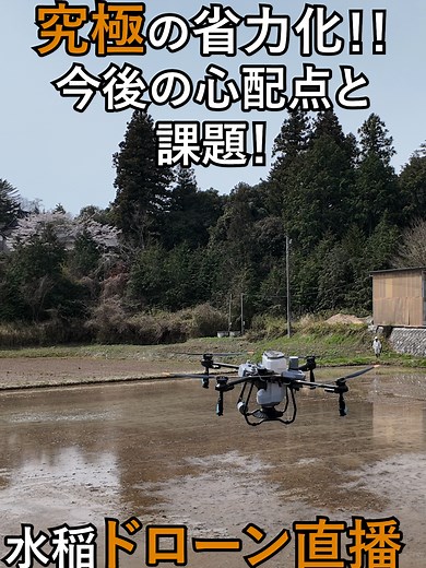 マイコス菌による稲作の進展と課題