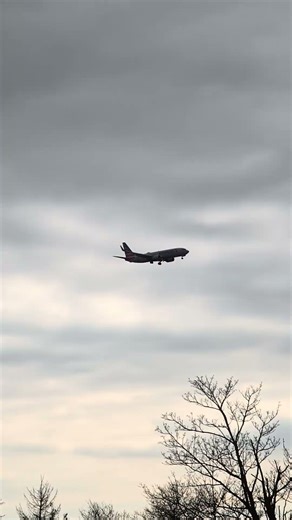 American Airlines Boeing 737