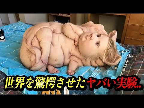 人と動物が交配したらどうなるのか？