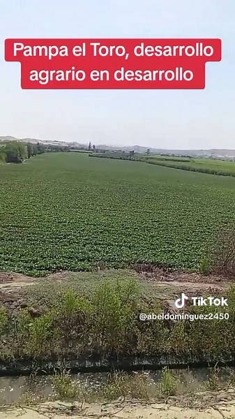 Videos de Abel Dominguez Azaña (@abeldominguez2450) con “sonido original - Abel Dominguez Azaña”