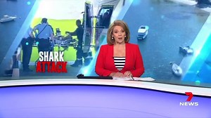 121K views · 1K reactions | Attacked in the Swan River - a father critically injured by a shark. www.7NEWS.com.au #7NEWS | 7NEWS Perth | Facebook