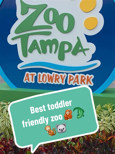 Zoo Tampa is so fun and toddler friendly! We literally spend all day here! 🦧 here's some notable info 🦧 🦒 pay for a day get the year free 🐘 mother's room to nurse 🦏 shaded play ground *toddler and big kid 🐨 free rides for all ages 🐒 easy to navigate and do solo with the kids 🐊 splash pad thays large some shade and plenty of seating #toddlerfriendly #tampa #thingstodointampa #zoo #zootampa