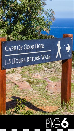 166K views · 3.1K reactions |  Visit Cape Point for a memorable experience where stunning cliffs meet the ocean! Enjoy delicious meals with great views at the Two Oceans Restaurant. Then, wander through the retail and curio shop to find the perfect keepsake of your visit ️. The Mother City's treasures await — share your moments with us using the hashtag #CapeTownBig6. #CapePoint #DiscoverCTWC #NatureReserve #CapeTown #SouthAfrica #ThisIsCapeTown | Cape Town Big 6 | Facebook