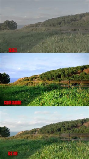 Del log, rec 709 al color grading final #colorgrading #film #filmakers #ias