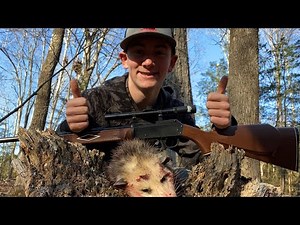 Possum kill with a BB gun!!! (Catch clean and cook)
