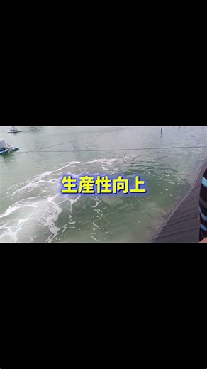 『成長・免疫に良い“高酸素環境”の効果とは？』#ナノバブル #高酸素 #エビ養殖 #ファインバブル #中島物産