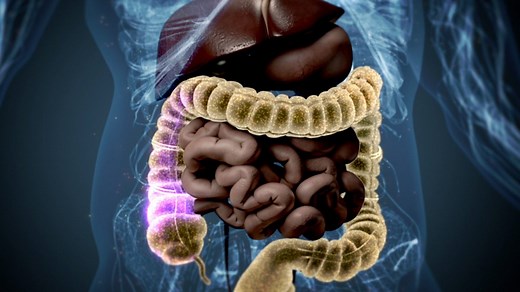 What does binge drinking really do to your body?