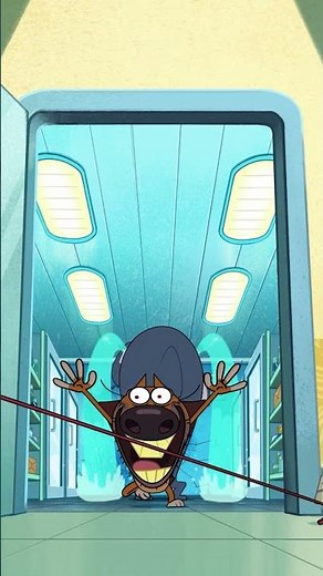 Trapped in the cold #Zigandsharko Zig & Sharko | Cartoon for kids