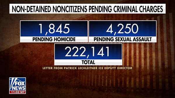 Shocking data shows 15K illegal immigrants in US  accused of murder — as Kamala Harris visits border