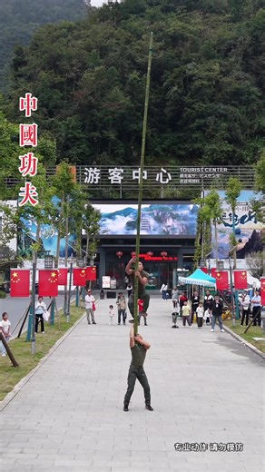 Exploring Chinese Aesthetics and Cultural Traditions