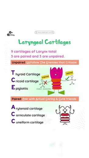 Flashcards and Mnemonics for Medical Students