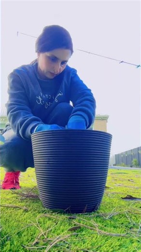 🌿 Winter Can’t Stop My Garden DIY! | Pot Makeover in Melbourne ❄️🪴