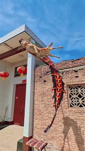 Super Dog Jump! #ViralCute Dog Amazing Jump #DogTraining