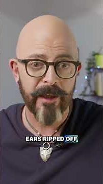 Top Tips on Cat Body Language