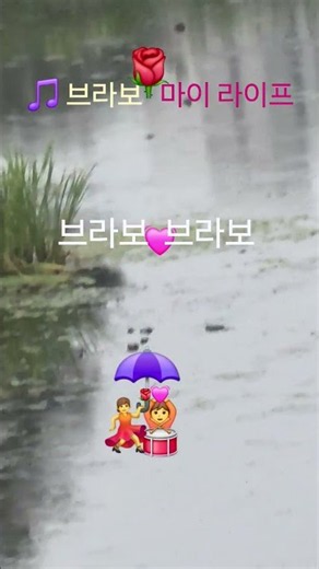 2026년 8월 28일 🎵 브라보 마이 라이프.#봄'여름'가을'겨울'