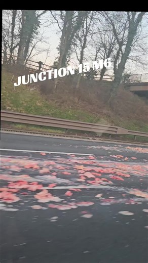 Lorry Spills Load on M6: A Disgusting Scene
