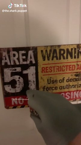 AHHHH #foryou #foryoupage #area51 | shark puppet