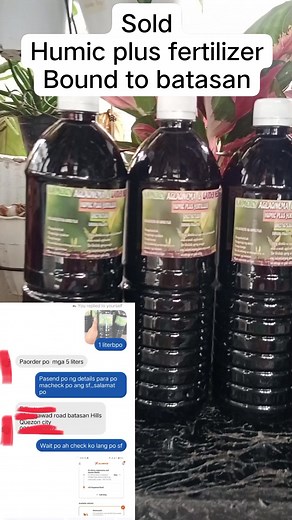 Sold Humic plus fertilizer Bound to batasan #Humicplus #plantsfertilizer #fertilizer #kamercyaglaonemaandgardenneeds #fbreels #fypシ゚viralシ # | Mercedita Ramayla Sabanal Andia