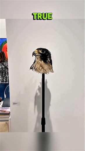 Realistic Falcon Art Shocks Everyone 🦅😱😳🫣