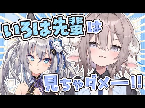 【お絵描き配信】いろは先輩💙今は来ちゃダメ💙【斎木こまり/のりプロ所属】