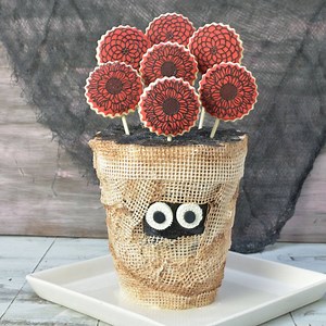 341K views · 2.5K reactions | When I saw new SugarVeil Icing product line I knew I had to make flower cookie bouquet and since Halloween is around the corner I wrapped the cake in beautiful edible burlap lace to make Mummy Flower Vase Cake. It was so fun to see it all come together. What would you like to create using #sugarveil? Sugarveil is now available at #michaelsstores. #hanielas #halloween #lace #mummycake #ediblelace #ad #sponsored | Haniela's | Facebook