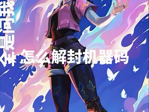 最近很多人问我怎么解机器码，如果你也是，不妨来看看