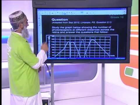 Life Sciences Paper 2 - Prelim Revision