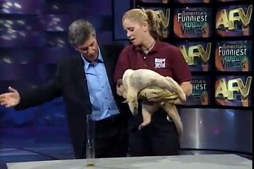 America's Funniest home Videos - All Animal Extravaganza