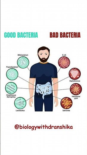 Balance is everything – good and bad bacteria shape our health! #GoodBacteria #GutHealth #biology