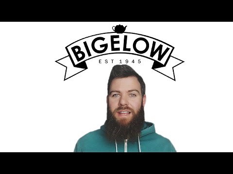 A Tea Review 🍵 Bigelow Lemon Ginger Herbal Tea Plus Probiotics