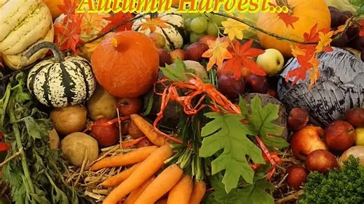 Autumn Harvest...(Music from Silver Hawk & AI)