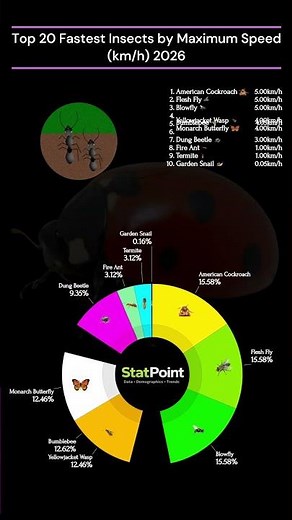 Top 20 Fastest Insects by Maximum Speed 2026 | StatPoint