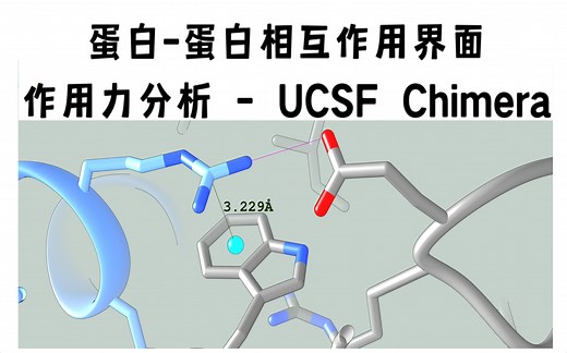 UCSF Chimera - 蛋白-蛋白相互作用界面作用力分析